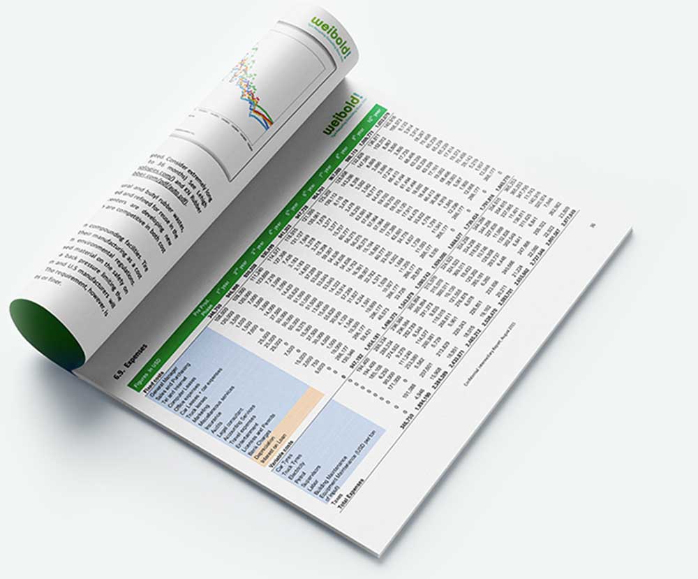 Feasibility Study for Tire Recycling Plants